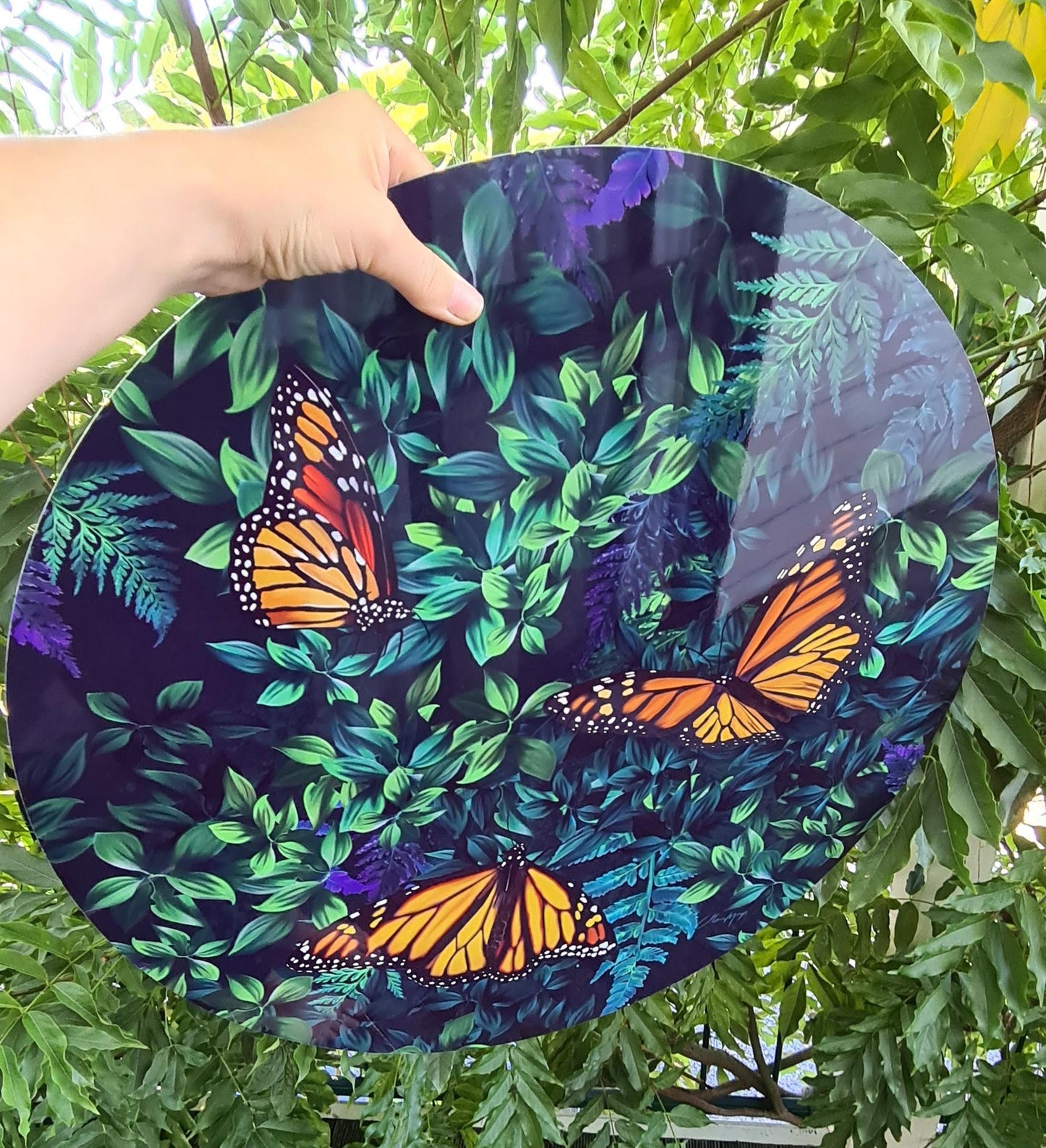 Beauty in Transformation - Clearance