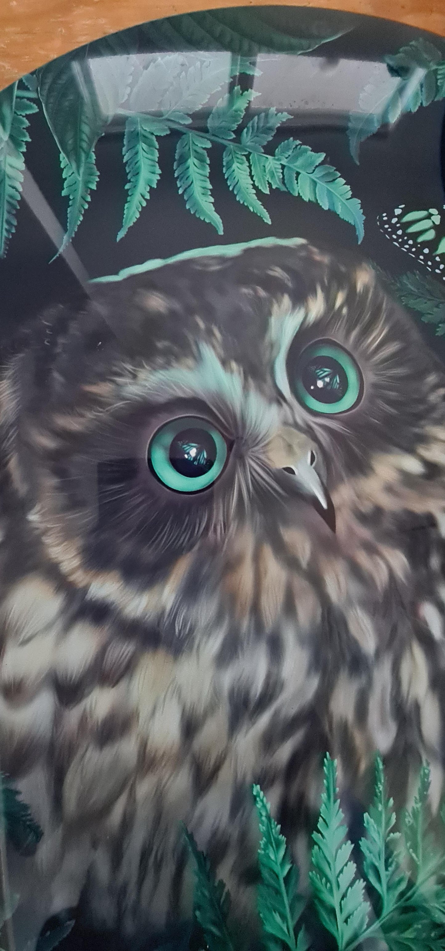 Ruru's New Beginning - Outdoor Art