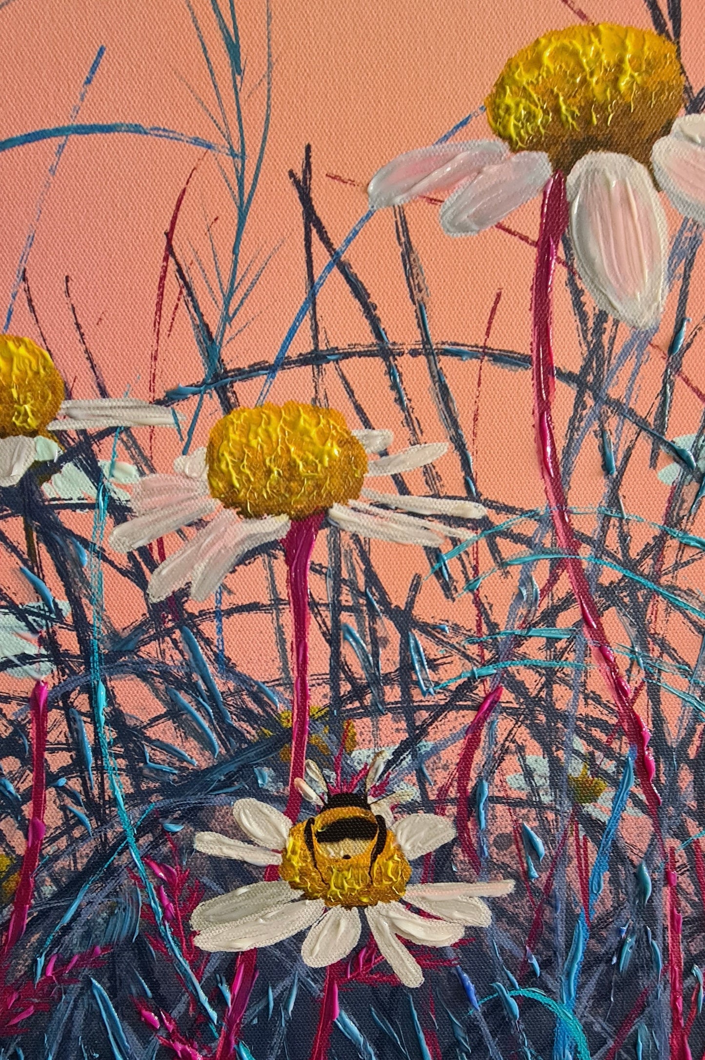 Wild White Daisies - Canvas