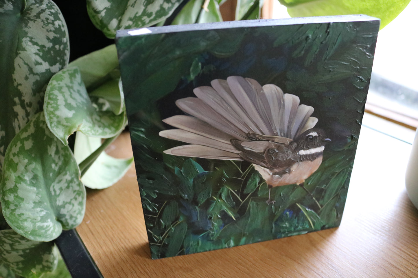 Fantail in Eden Mount Block