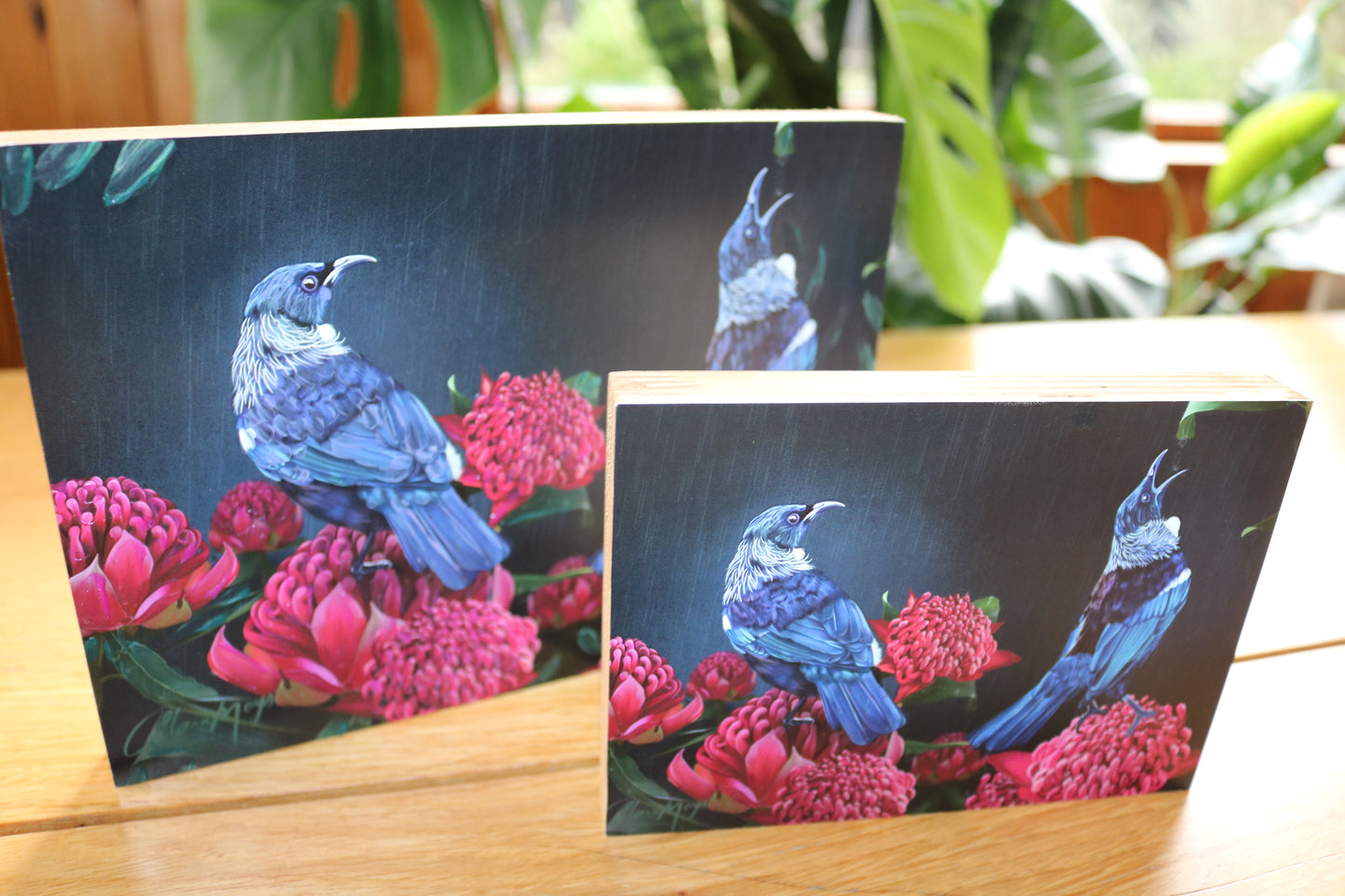 Tui Waratah Mount Block