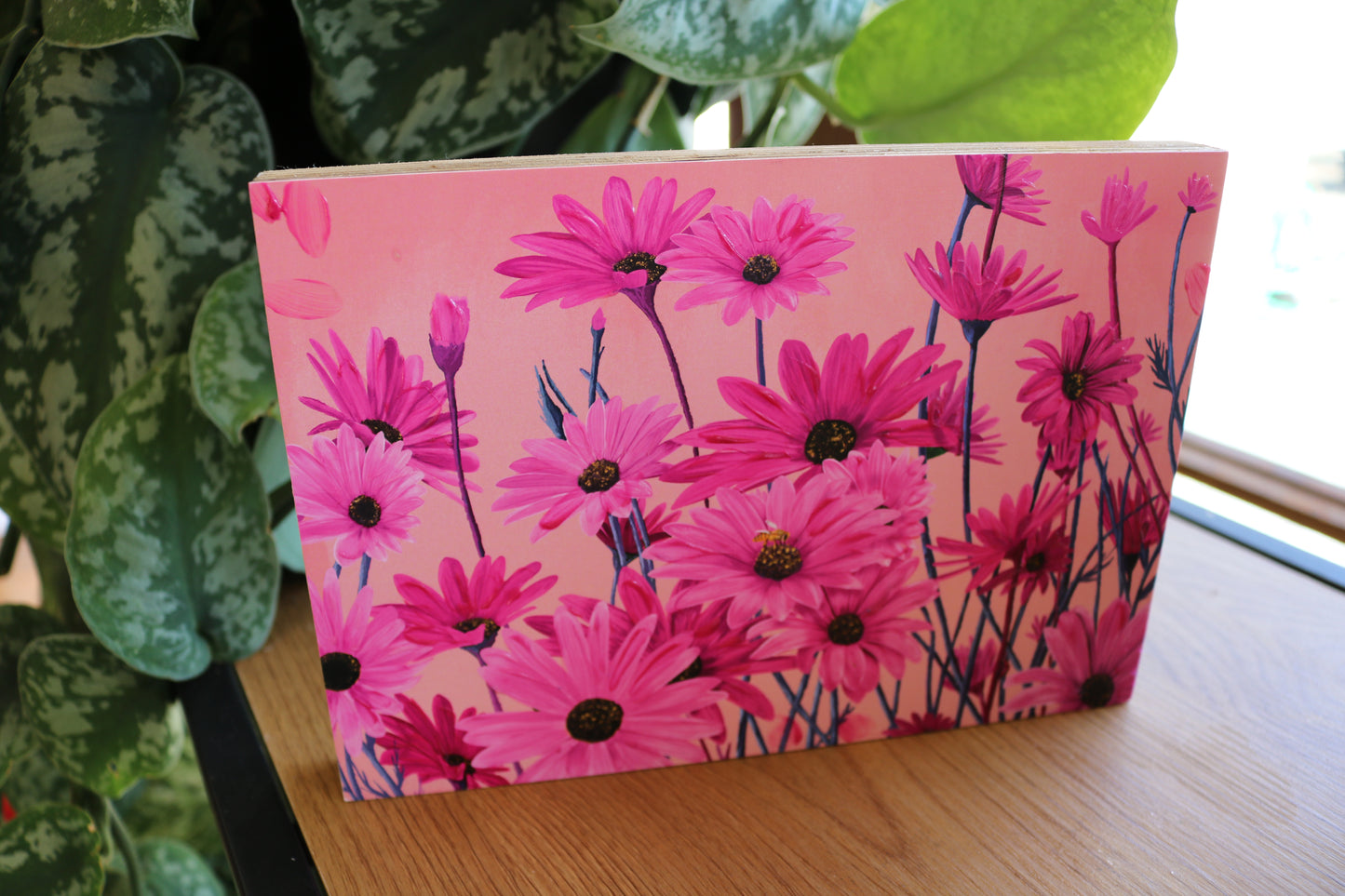Pink African Daisies Mount Block
