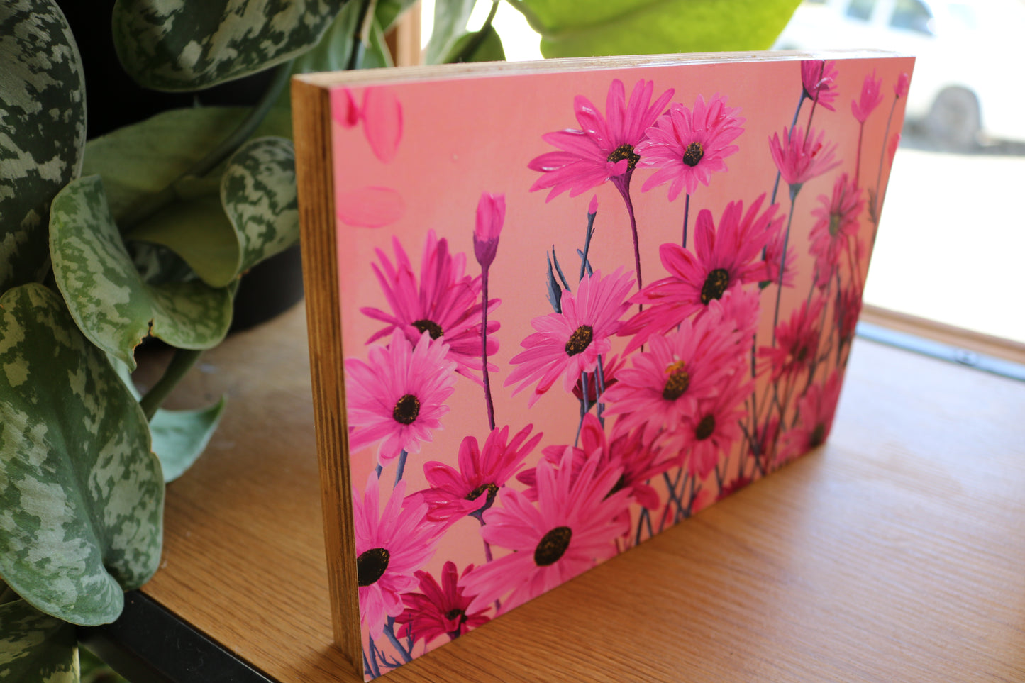Pink African Daisies Mount Block