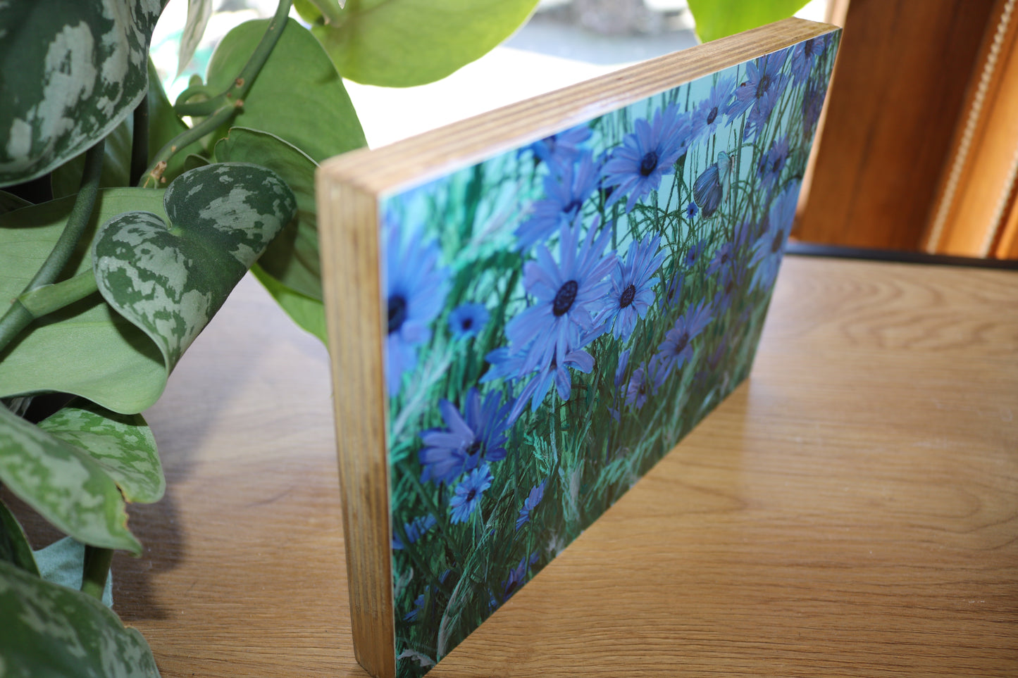 Blue African Daisies Mount Block