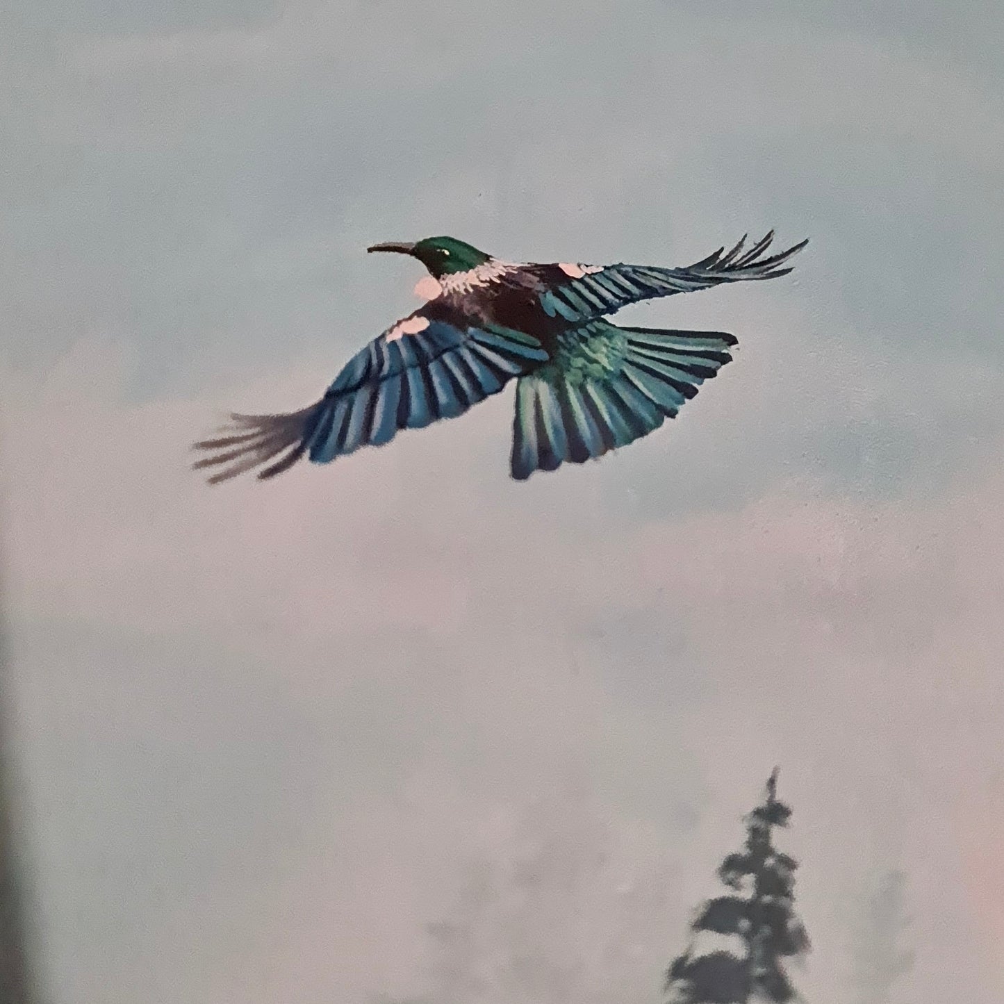 Melody in Flight - ORIGINAL