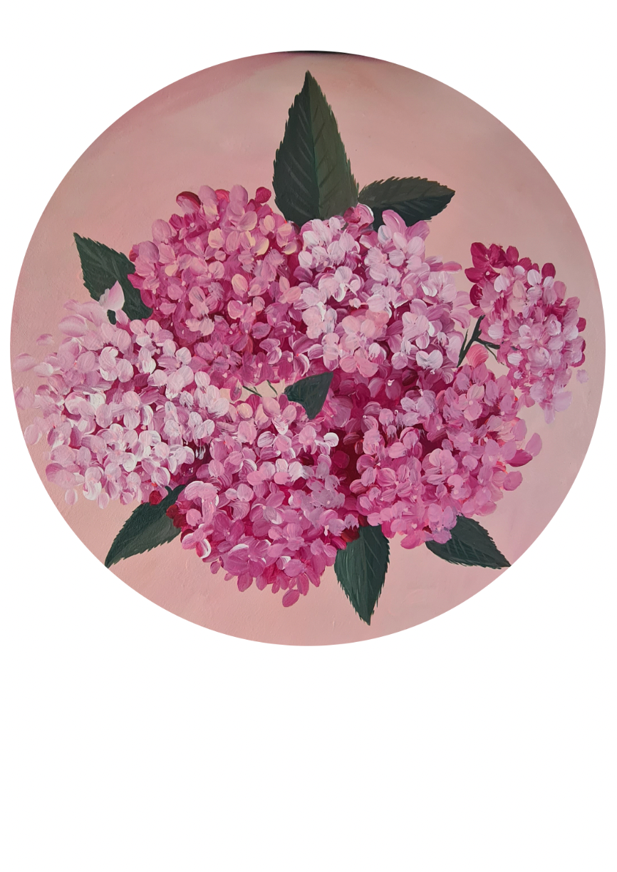 Pink Hydragenagas Art Kit SOLD OUT