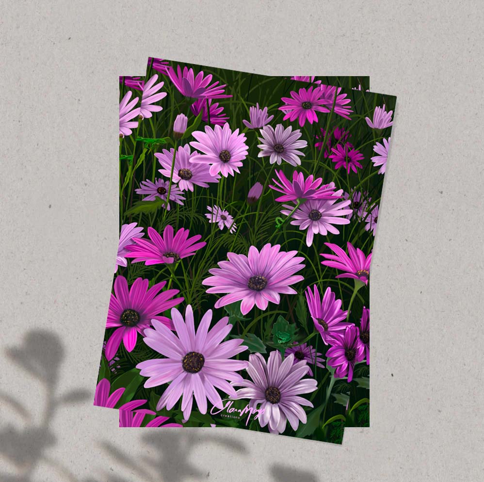 Purple African Daisy - Pre-Order