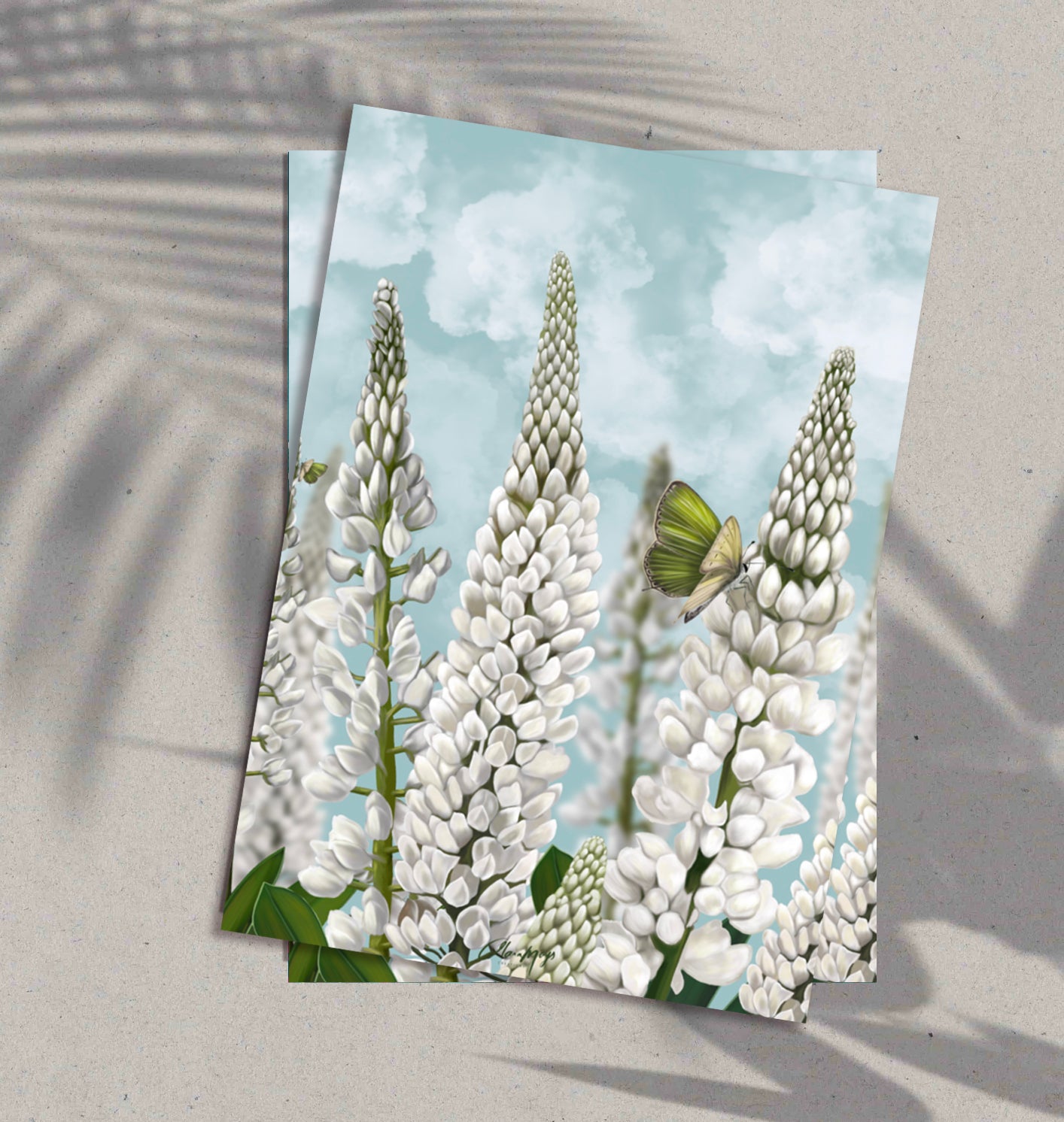 White Lupines - Pre-Order