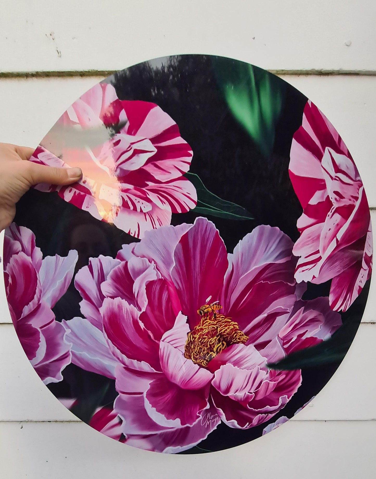 Candy Stripe Peonies - Outdoor Art