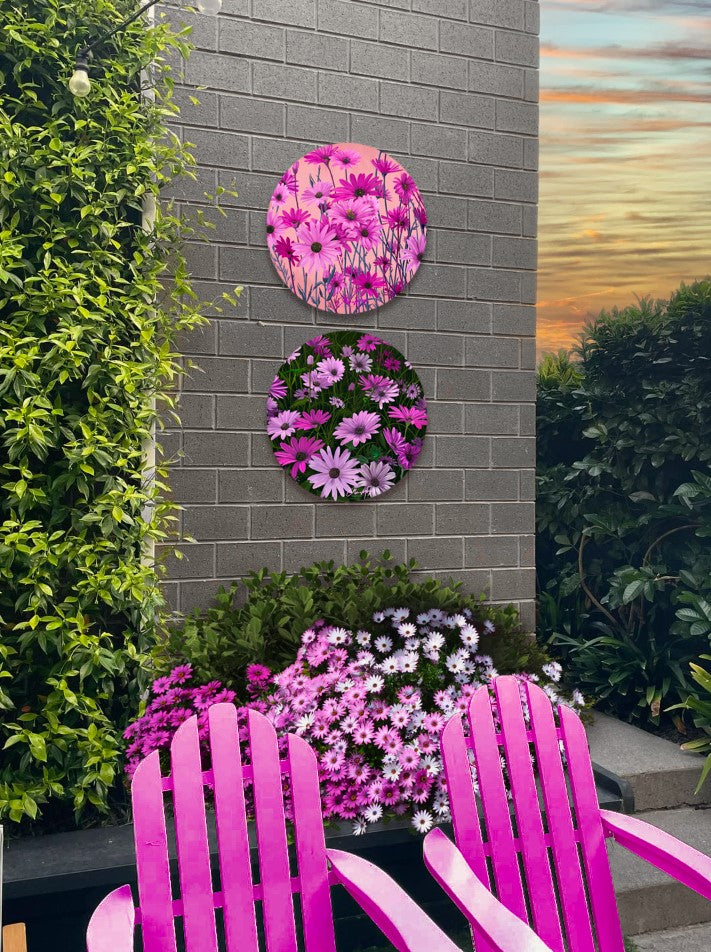 Pink African Daisy - Metal Outdoor art