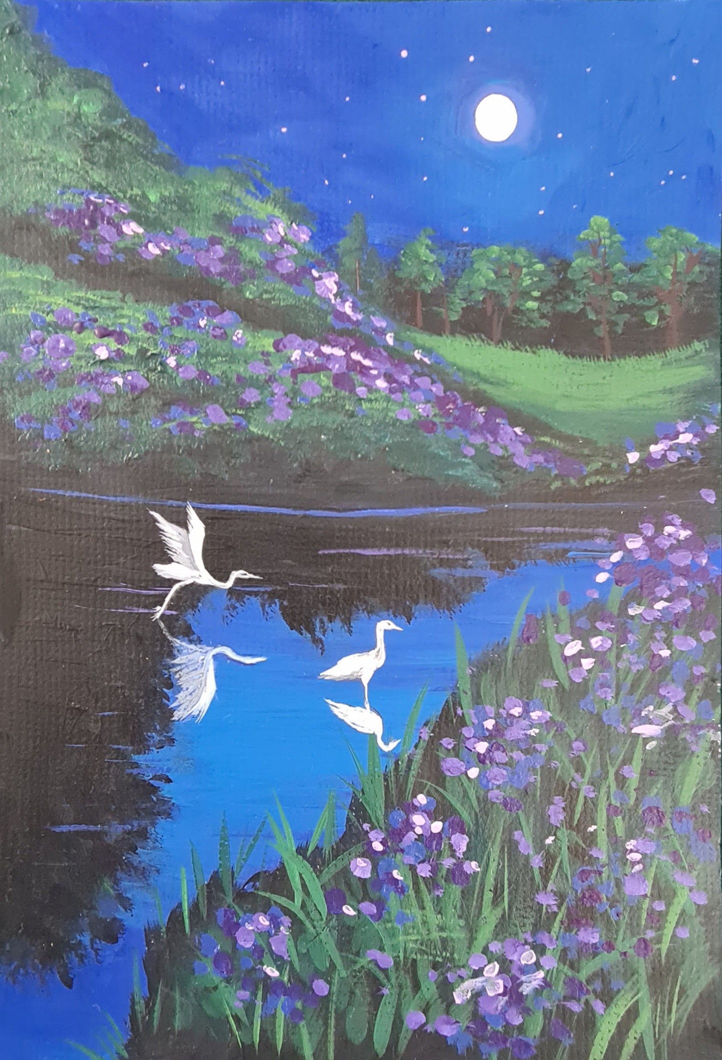 Herons Art Kit - SOLD OUT