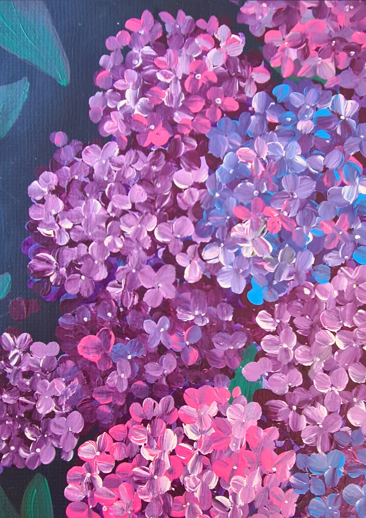 Hydragenagas Art Kit