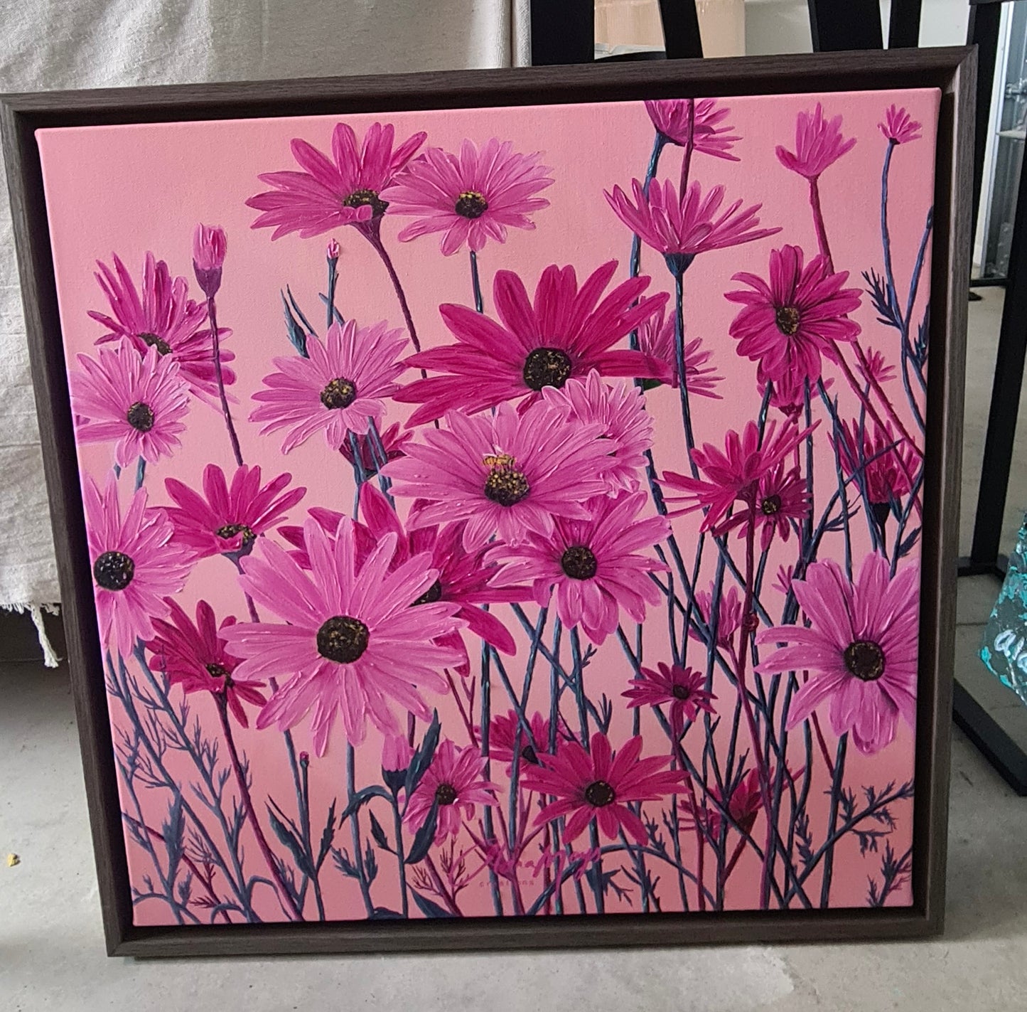 Pink African Daisy Canvas