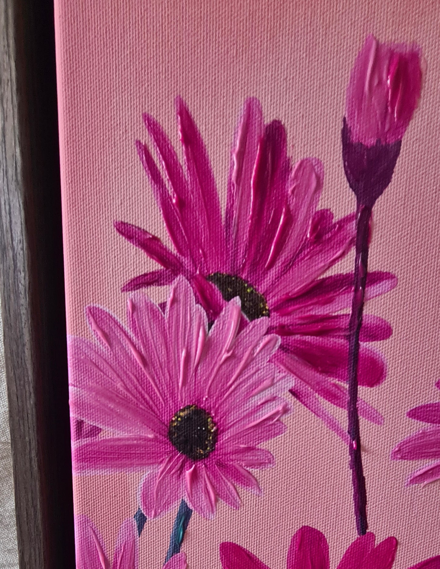 Pink African Daisy Canvas