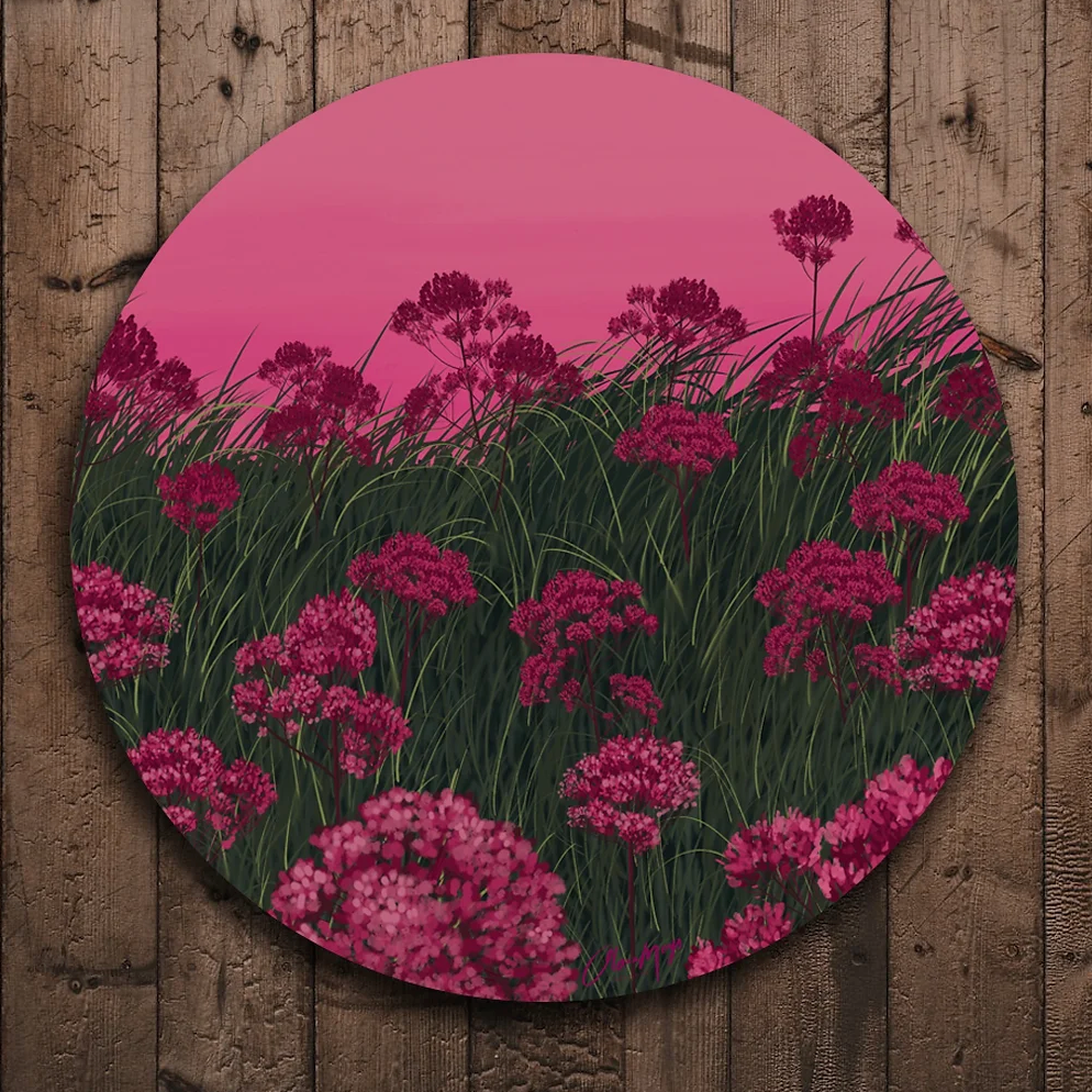 Pink Wild Flowers - Clearance