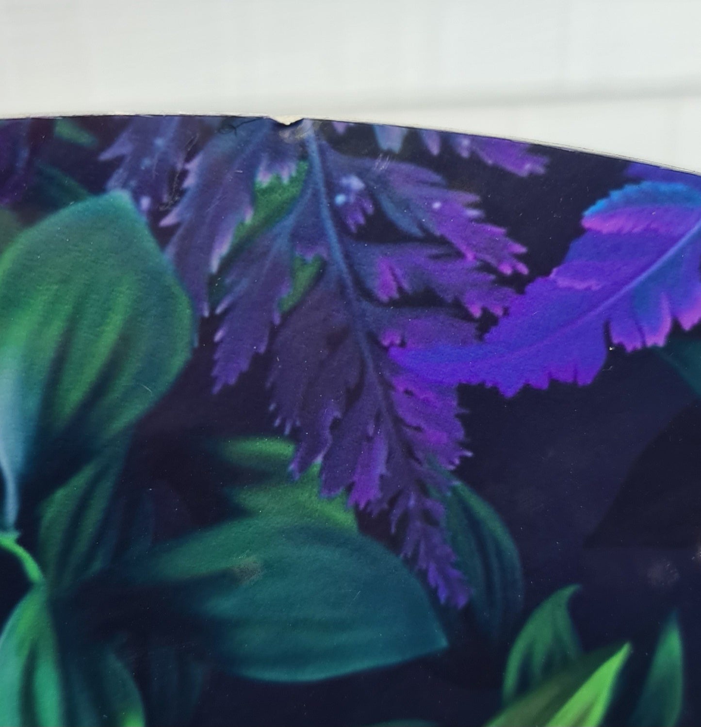 Beauty in Transformation - Clearance