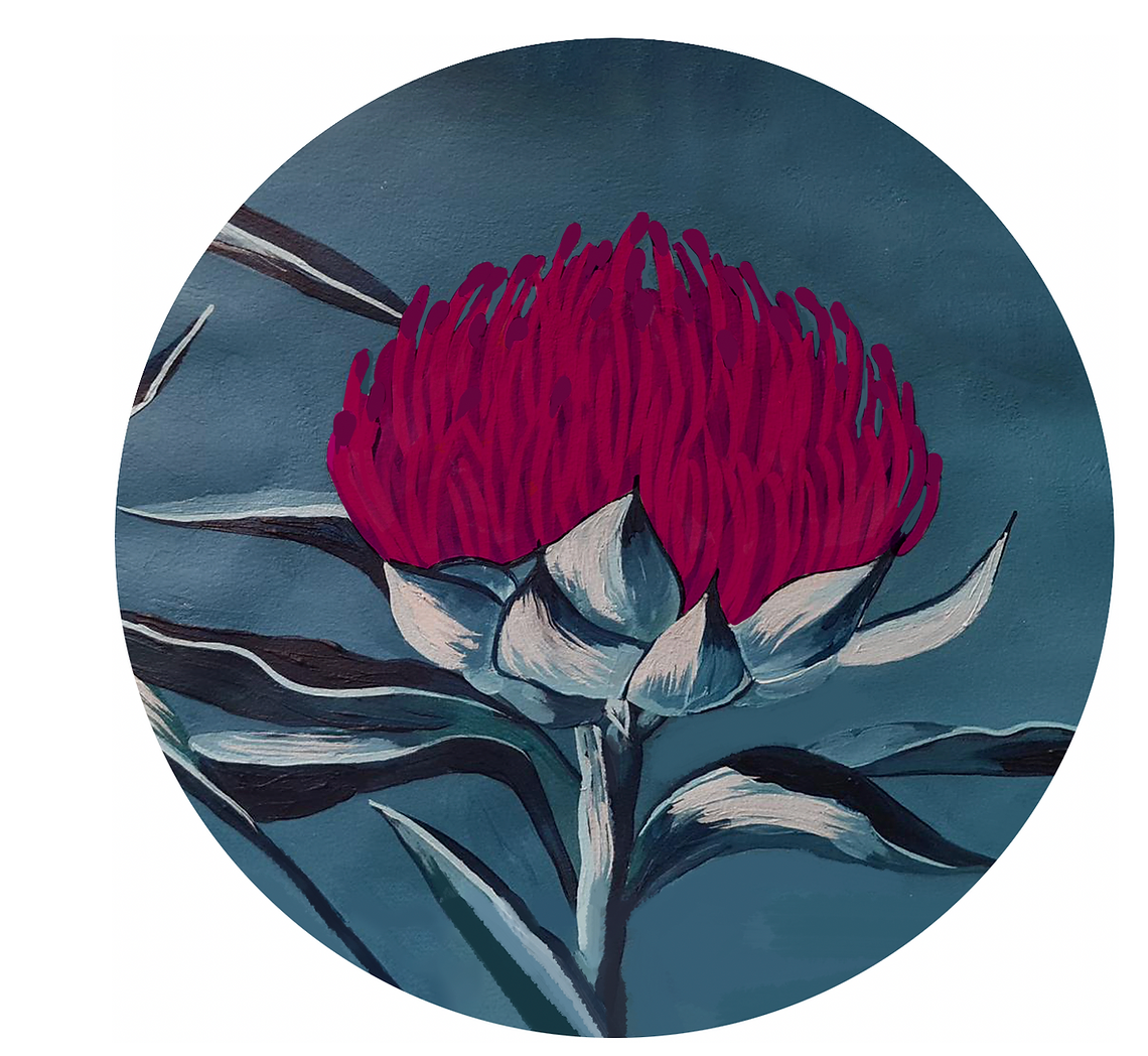 Waratah Flower Art Kit - SOLD OUT
