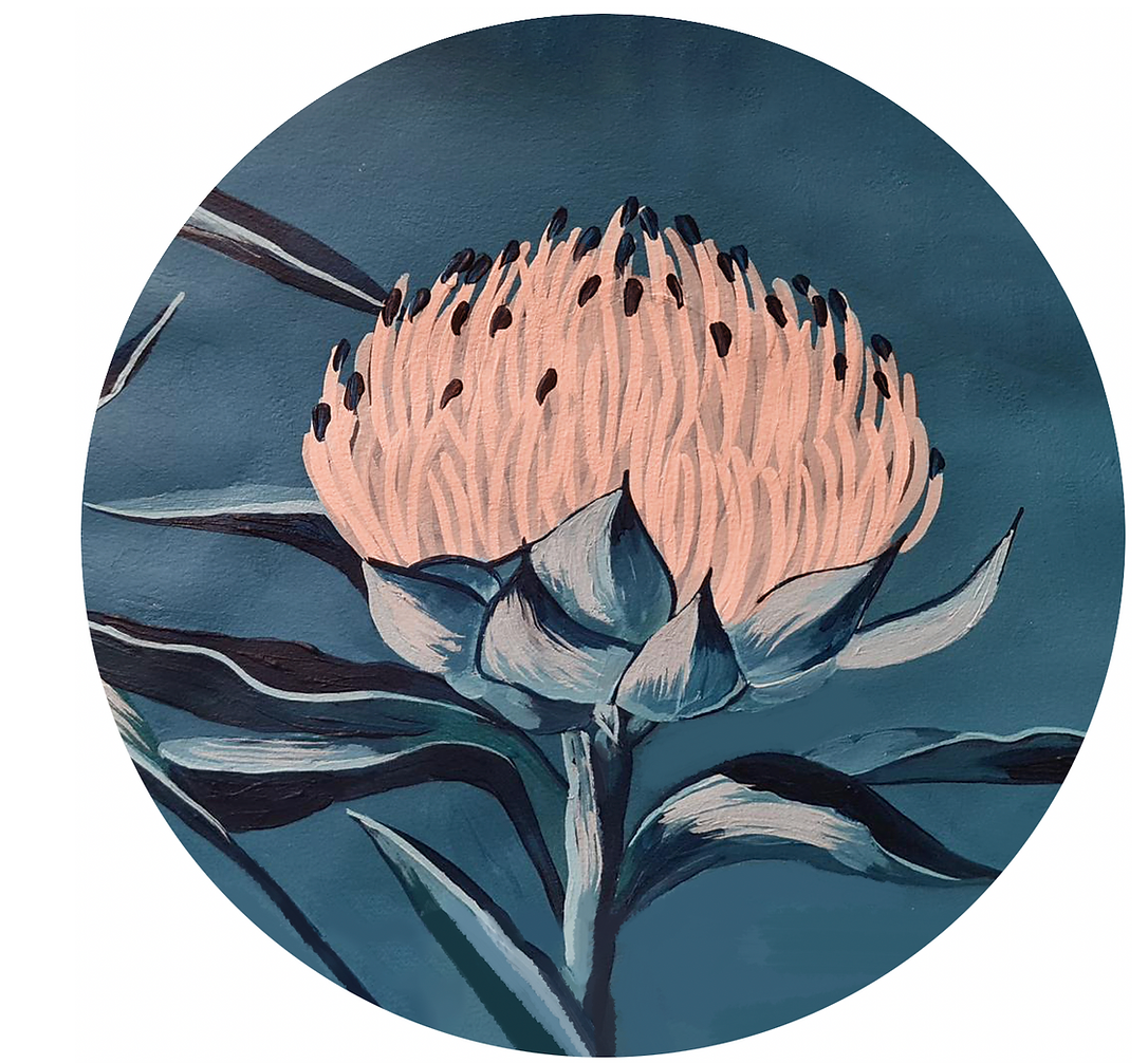 Waratah Flower Art Kit - SOLD OUT