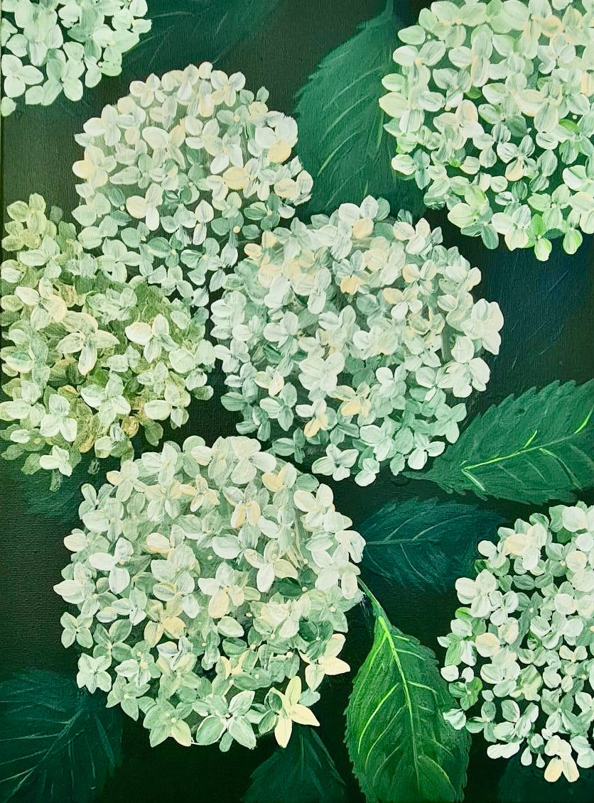 Hydragenagas Art Kit