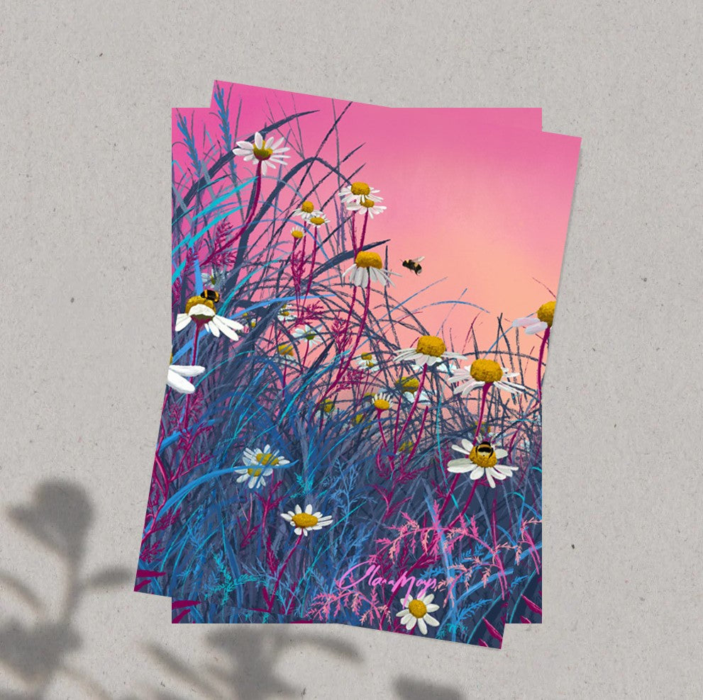 Wild White Daisies - Pre-Order