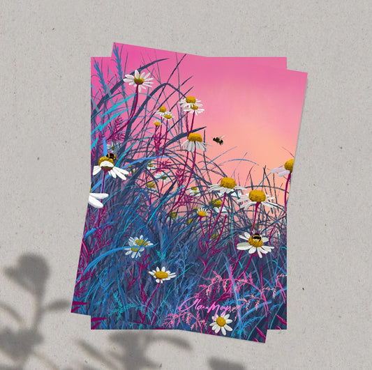 Wild White Daisies - Pre-Order