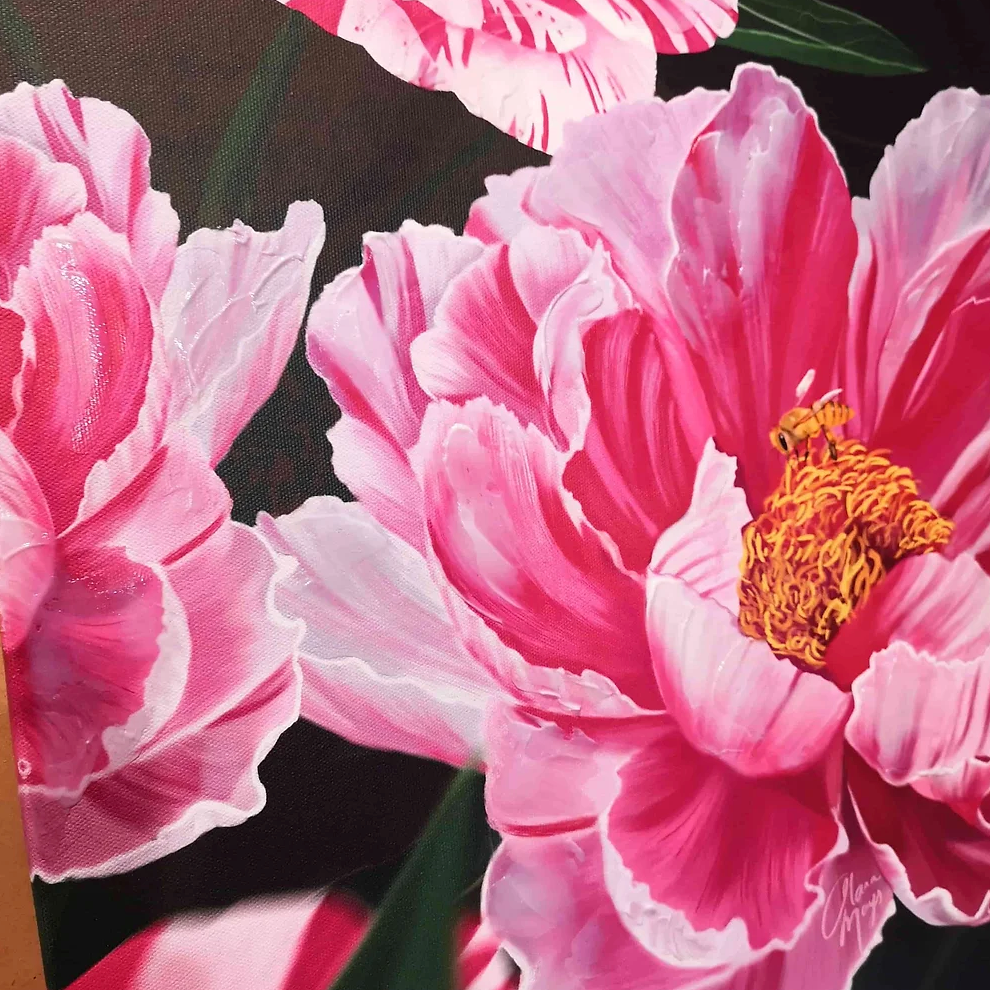 Candy Stripe Peonies - Canvas