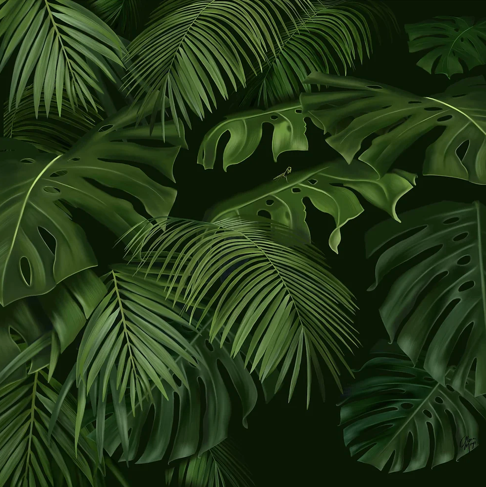 Monstera - Canvas