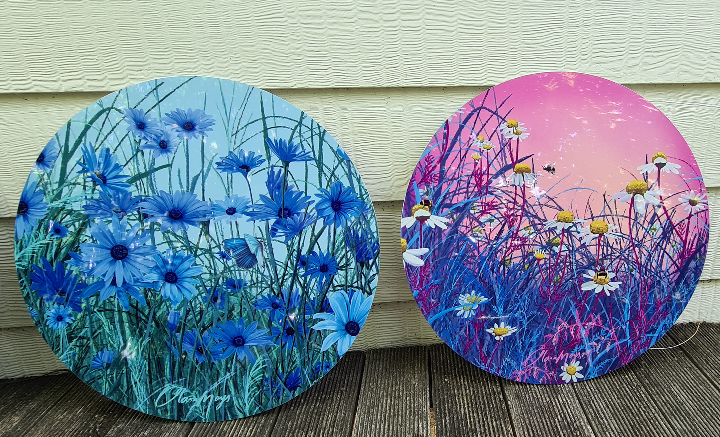Blue African Daisy - Metal Outdoor Art