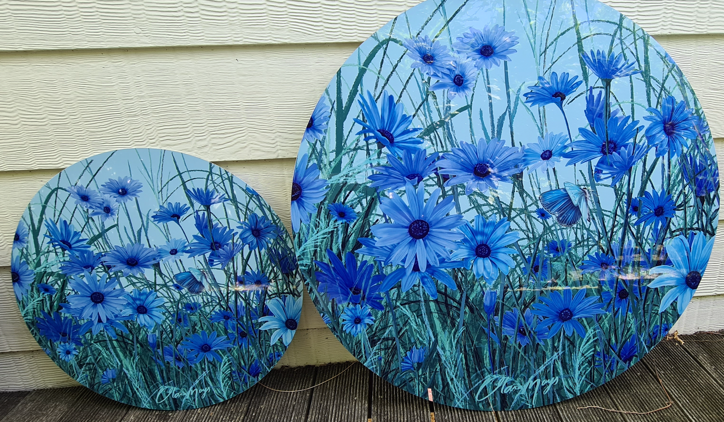 Blue African Daisy - Metal Outdoor Art