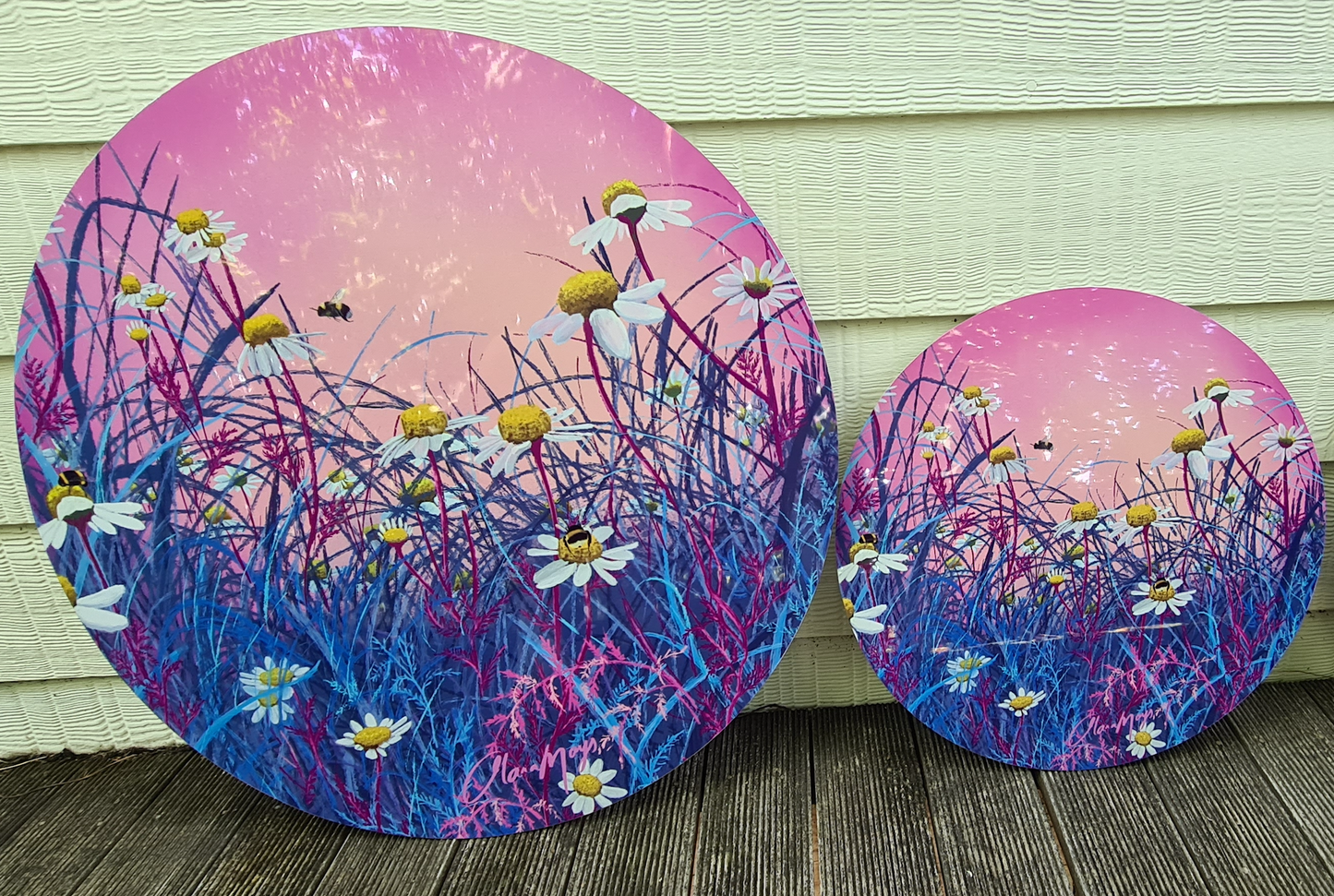 Wild White Daisy Metal- Metal Outdoor Art