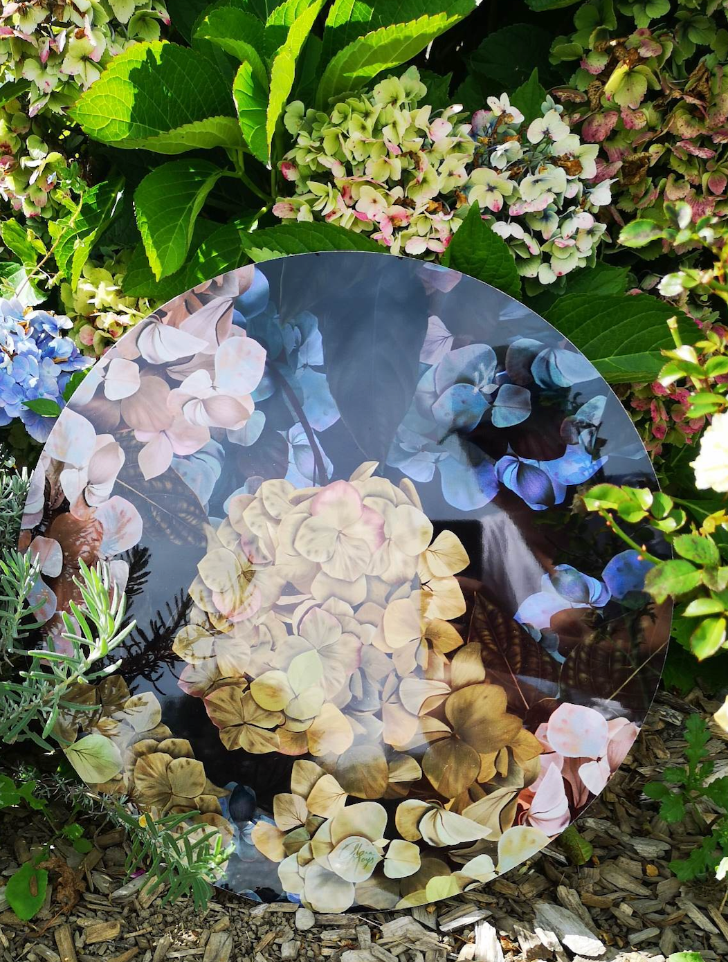 Beauty in Ageing - Outdoor Art x