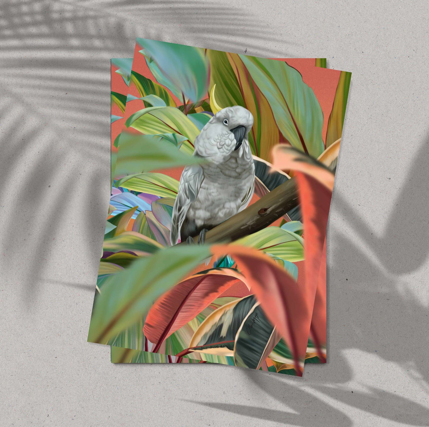 Bird of Paradise