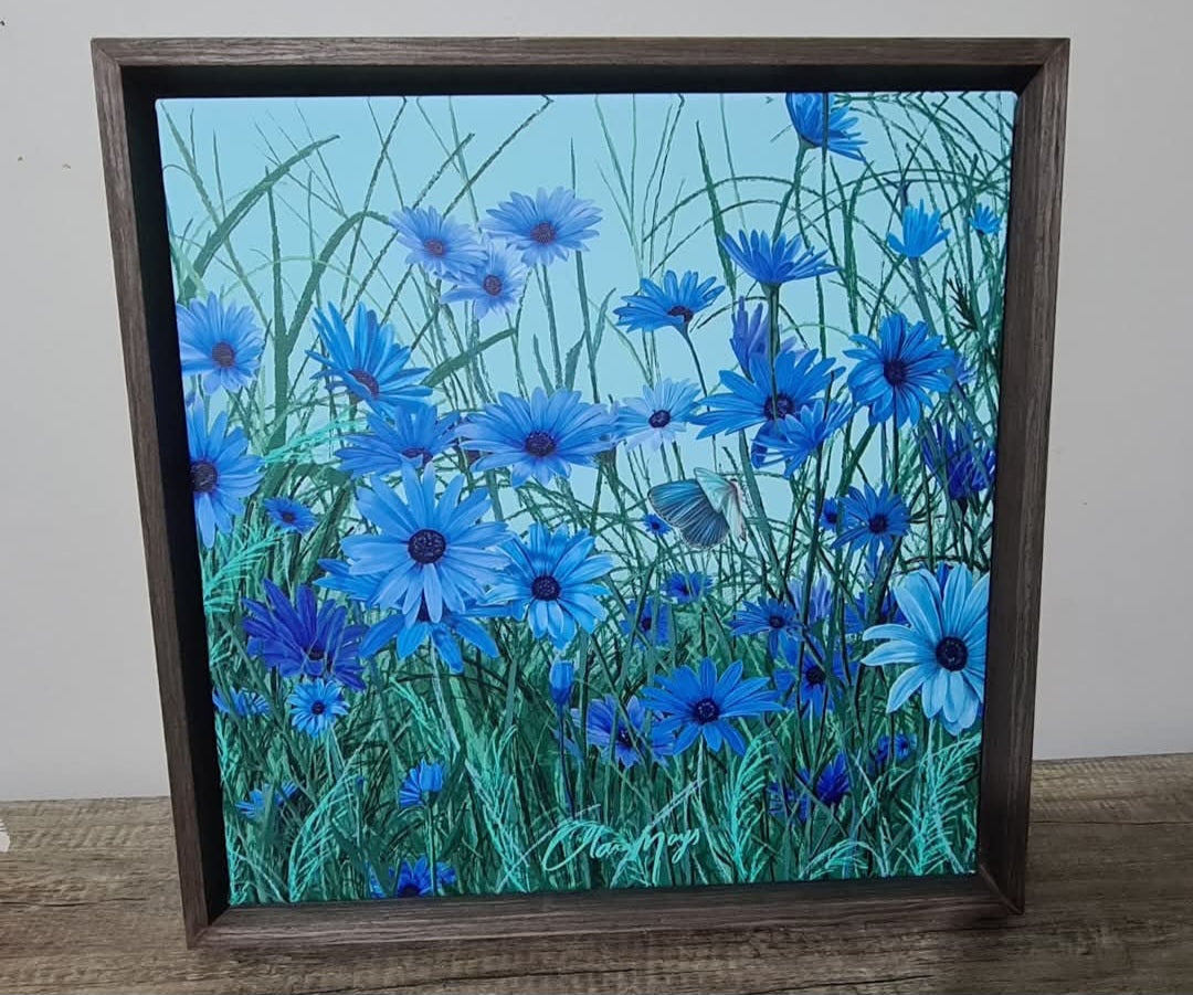 Blue African Daisy - Canvas