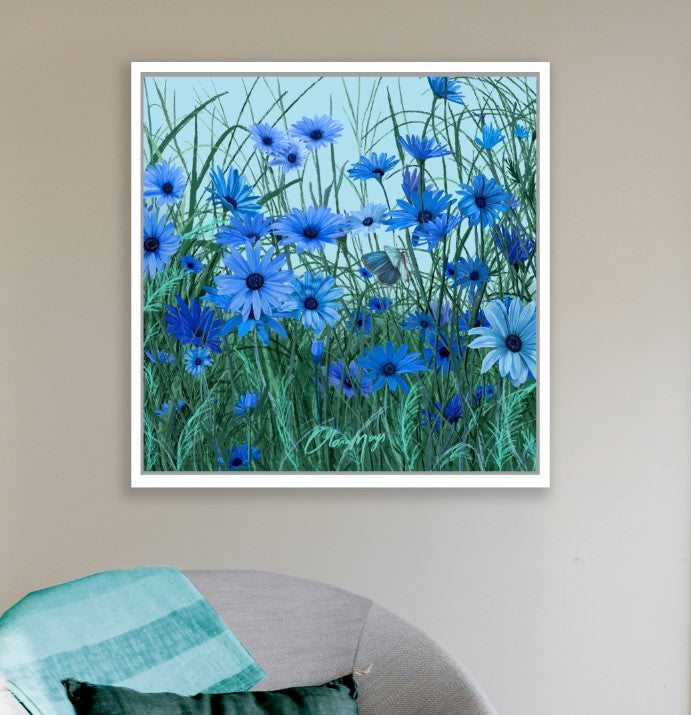 Blue African Daisy - Canvas