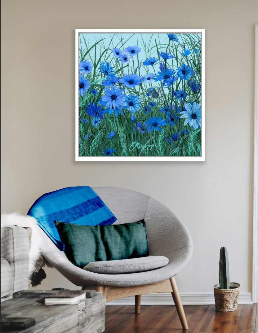 Blue African Daisy - Canvas