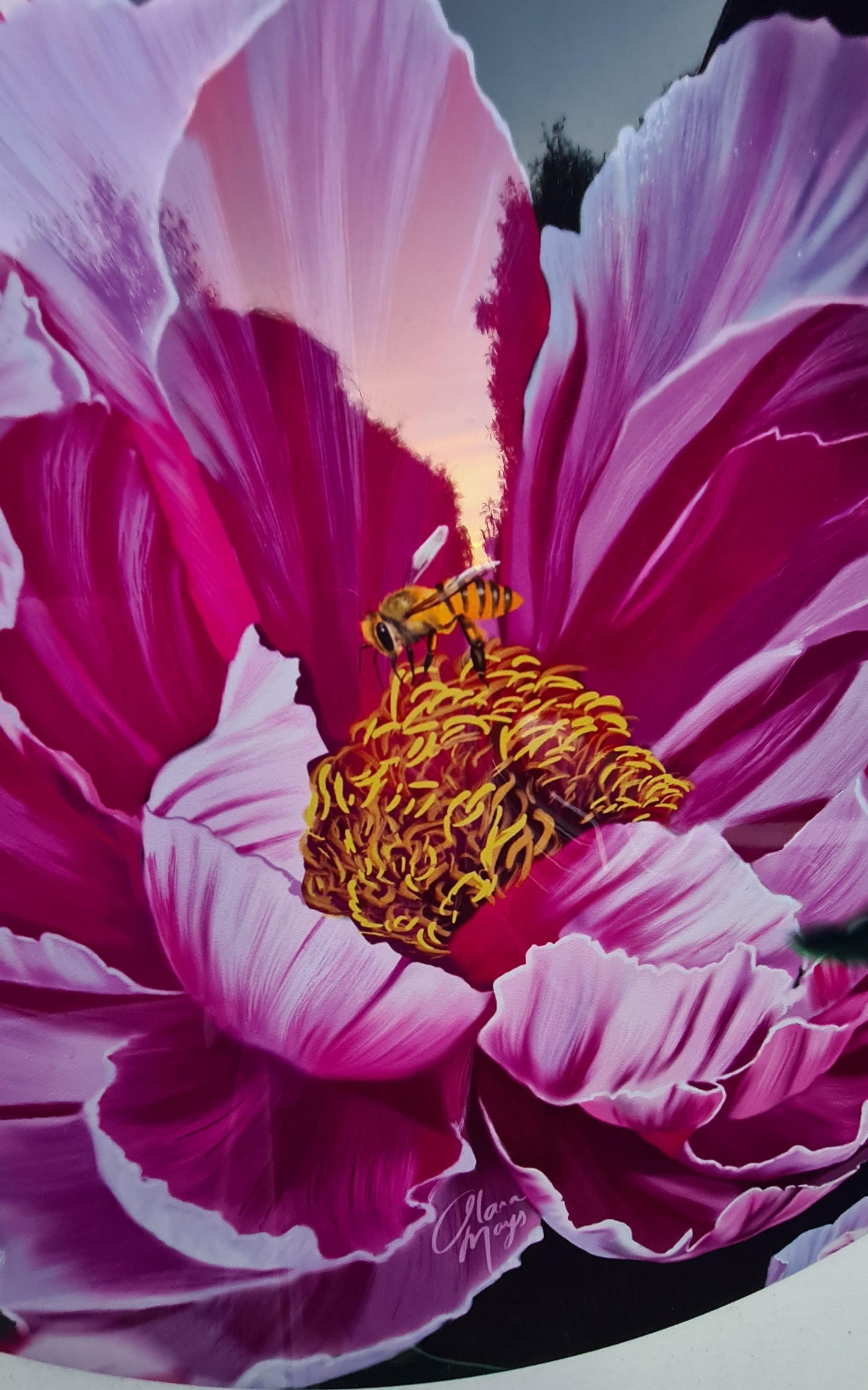 Candy Stripe Peonies - Outdoor Art
