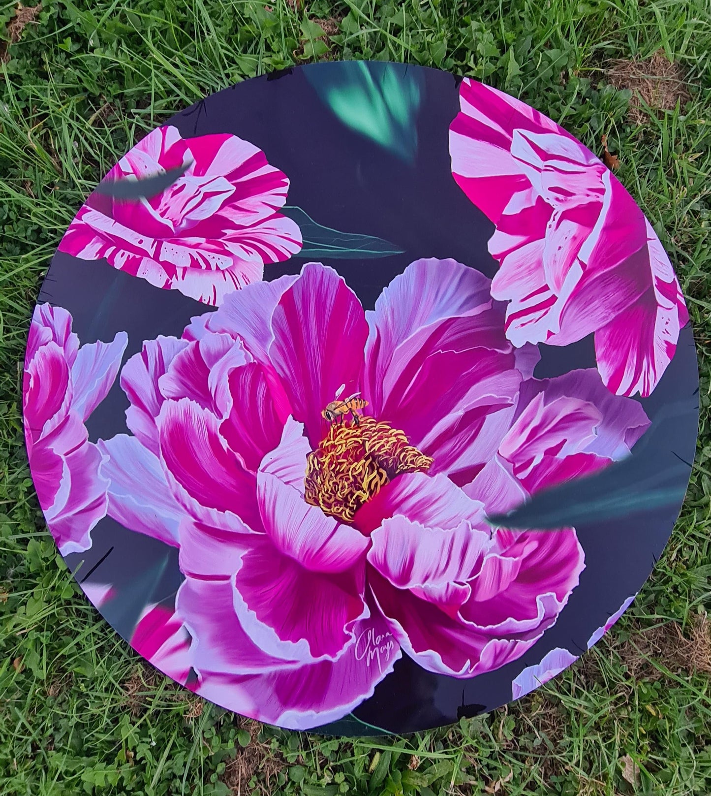Candy Stripe Peonies - Outdoor Art