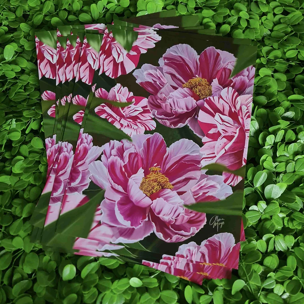 Candy Stripe Peonies - Art Print