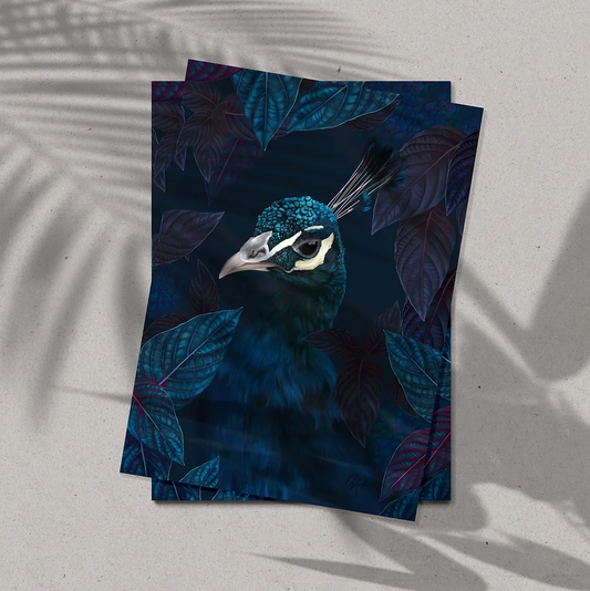 Midnight Fascinator - Art Print