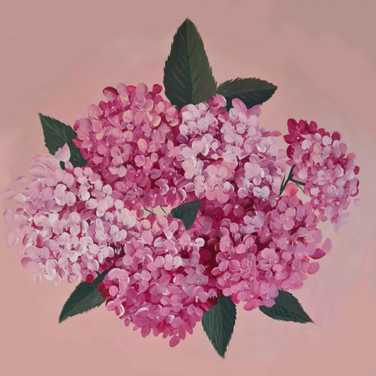 Pink Hydragenagas Art Kit SOLD OUT