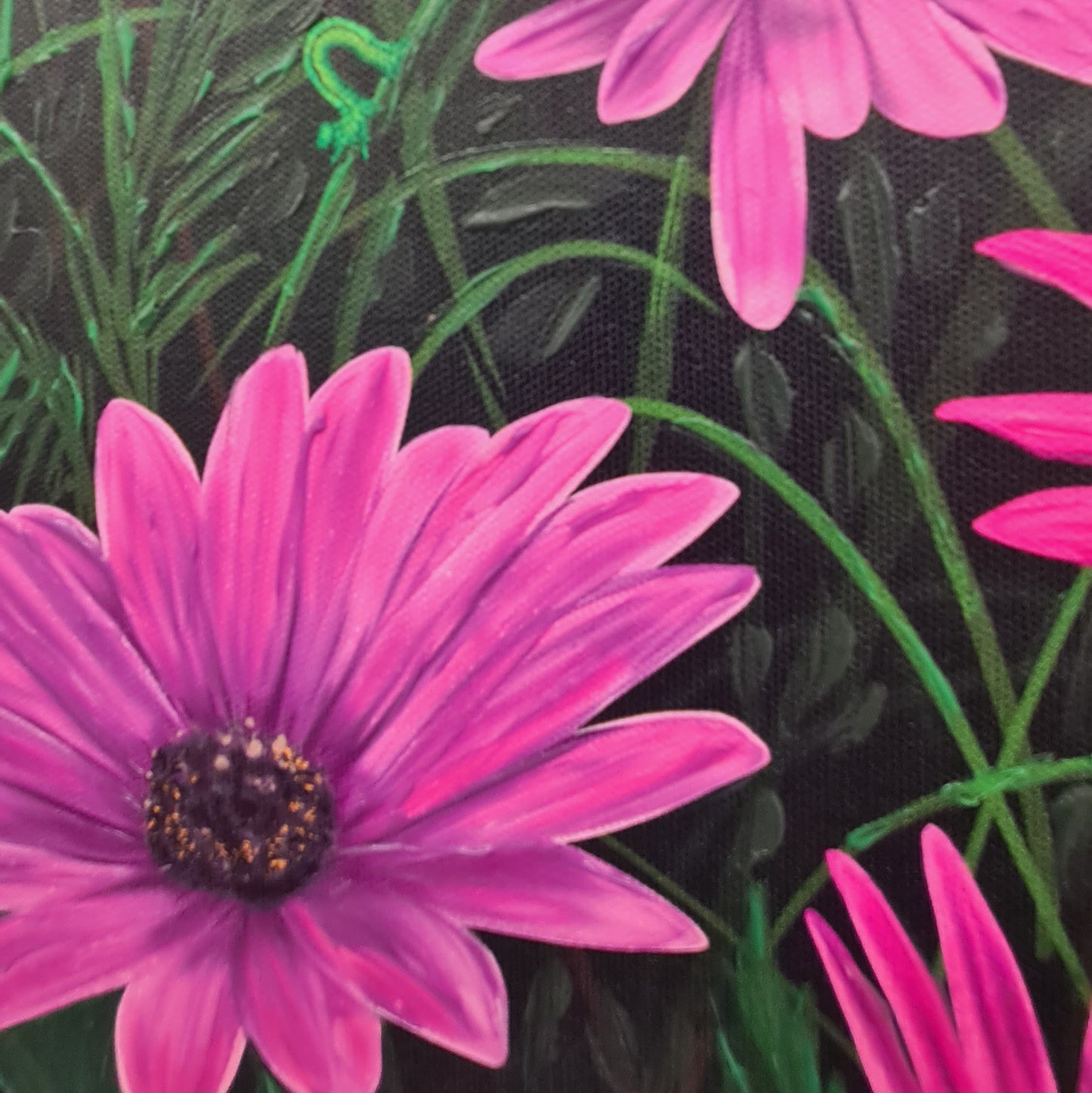 Purple African Daisy Canvas