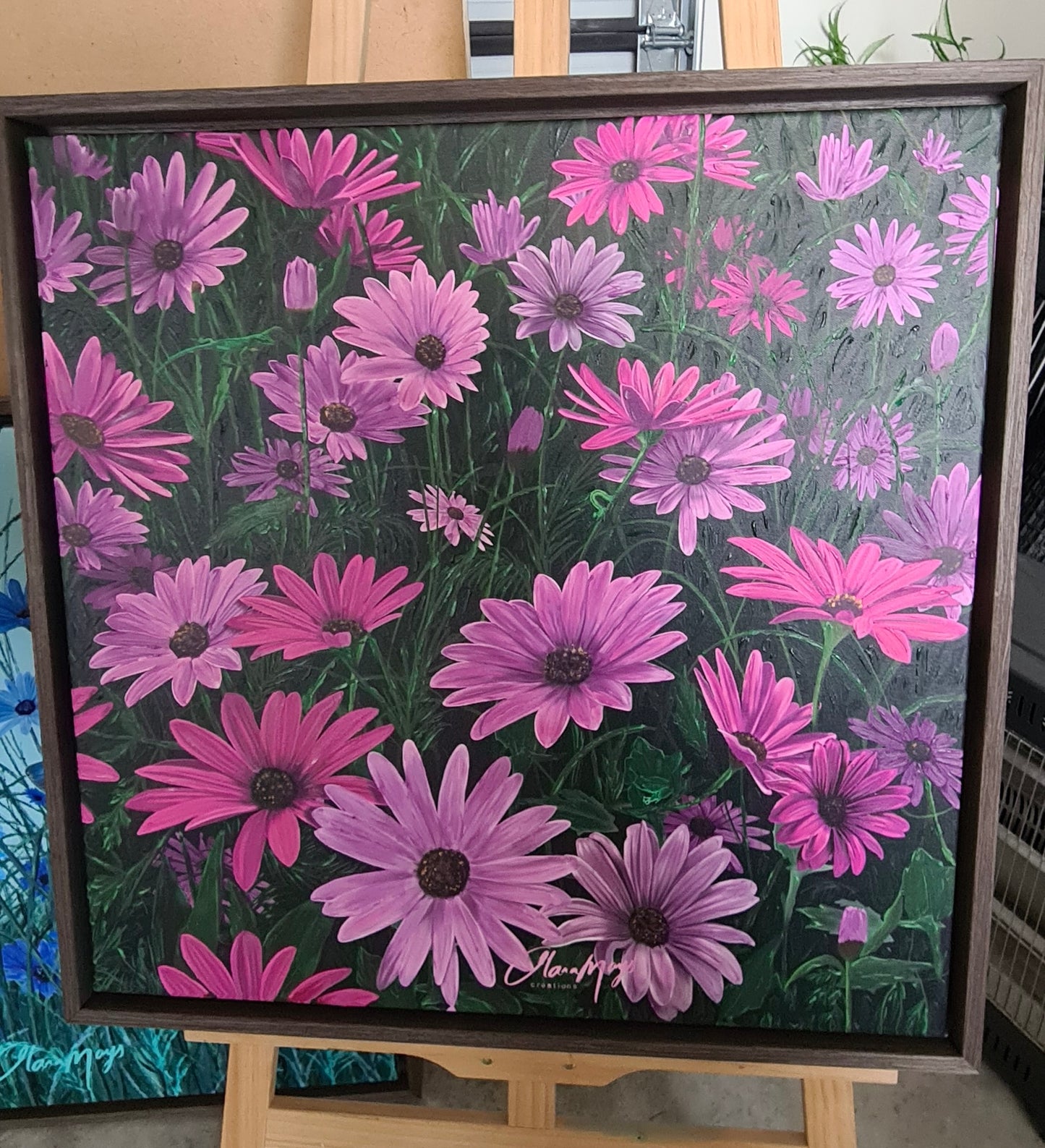 Purple African Daisy Canvas