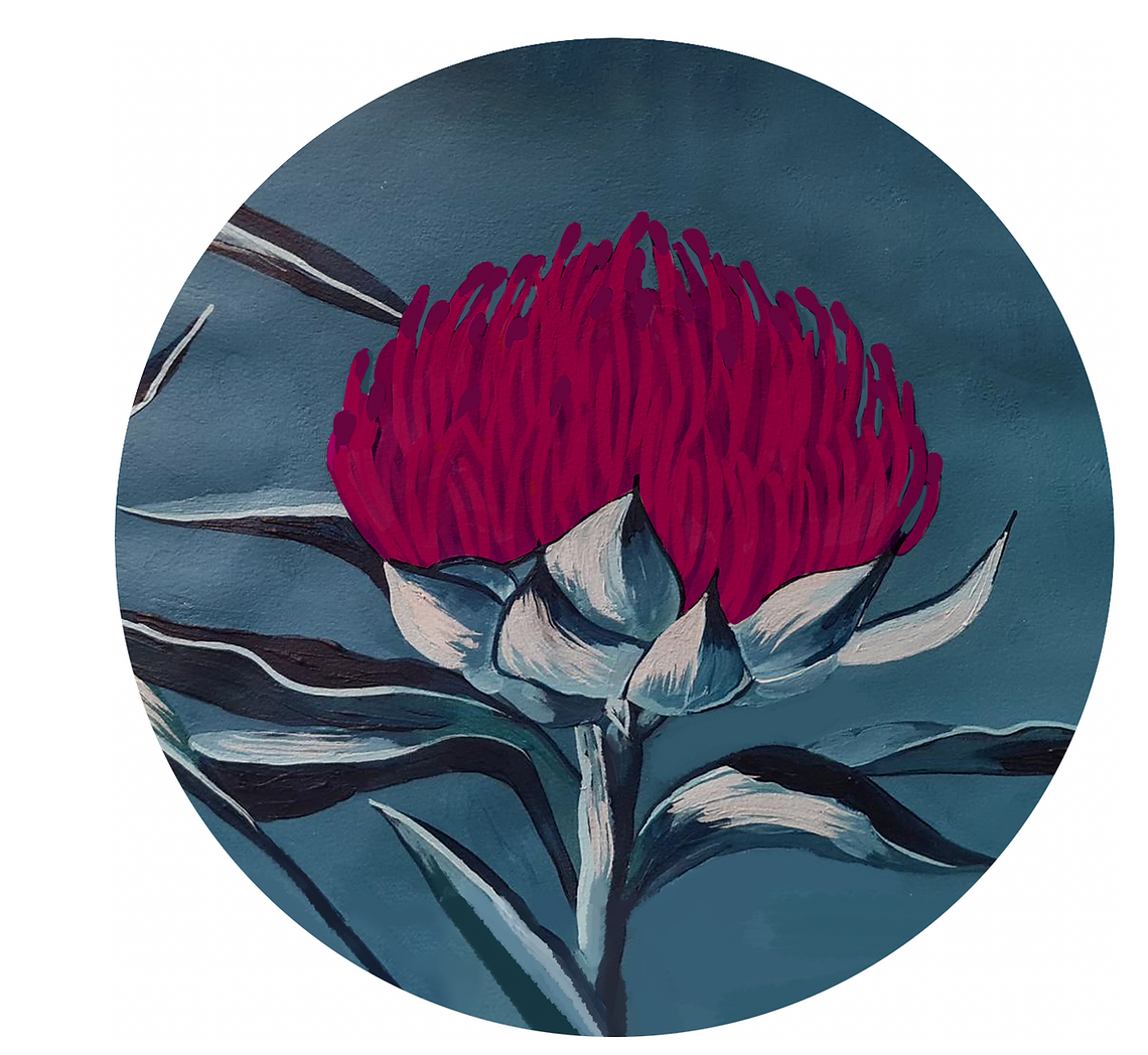 Waratah Flower Art Kit