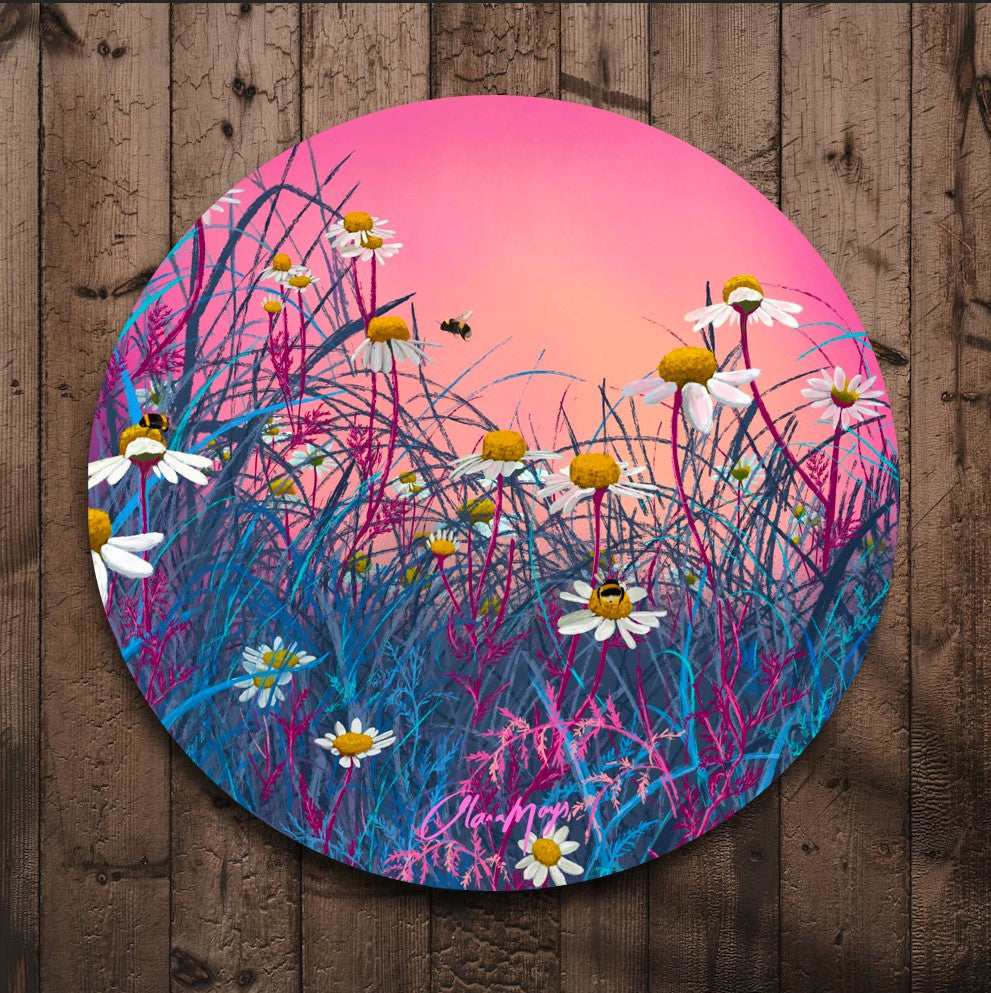 Wild White Daisy Metal- Metal Outdoor Art