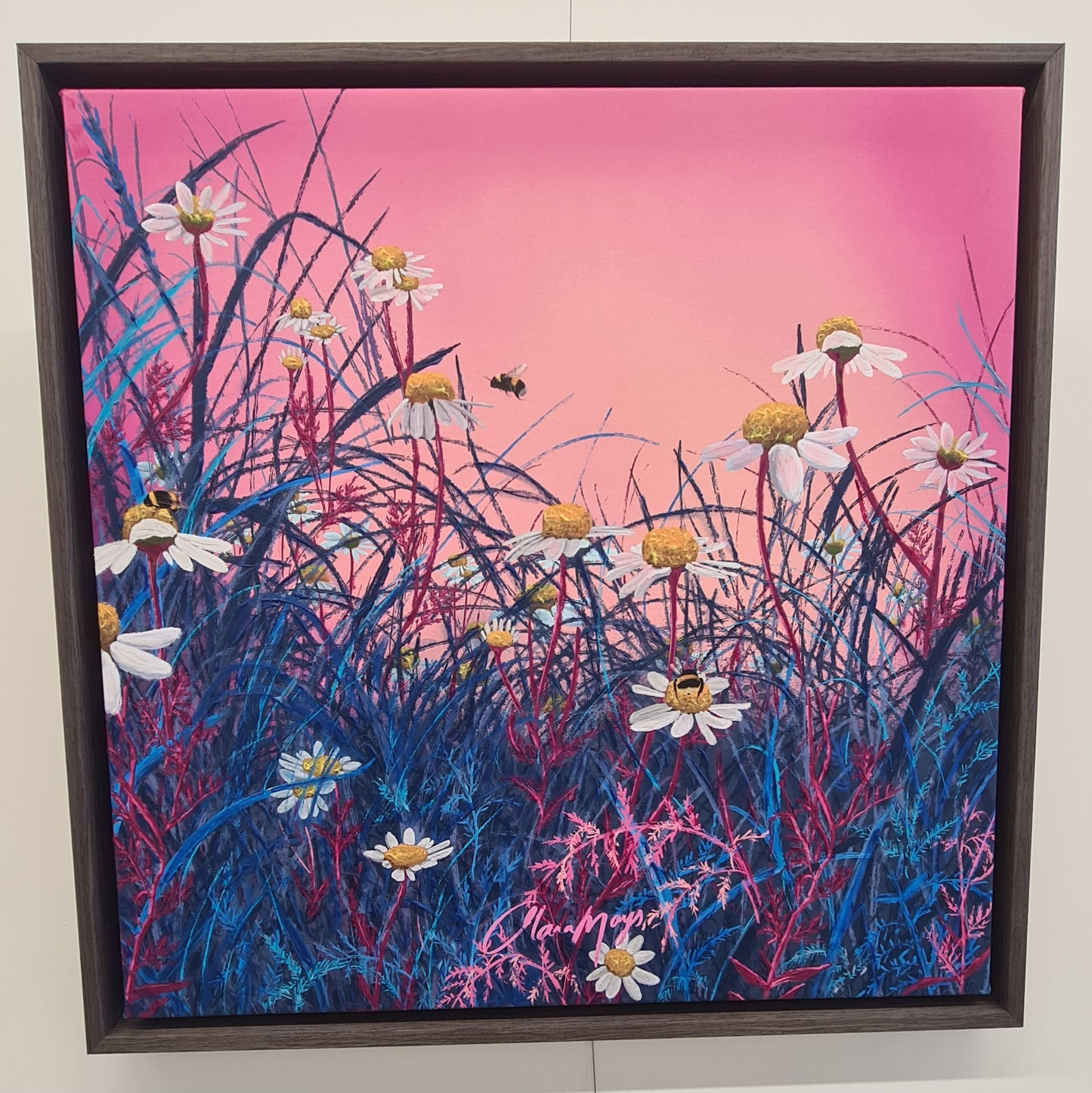 Wild White Daisies - Canvas